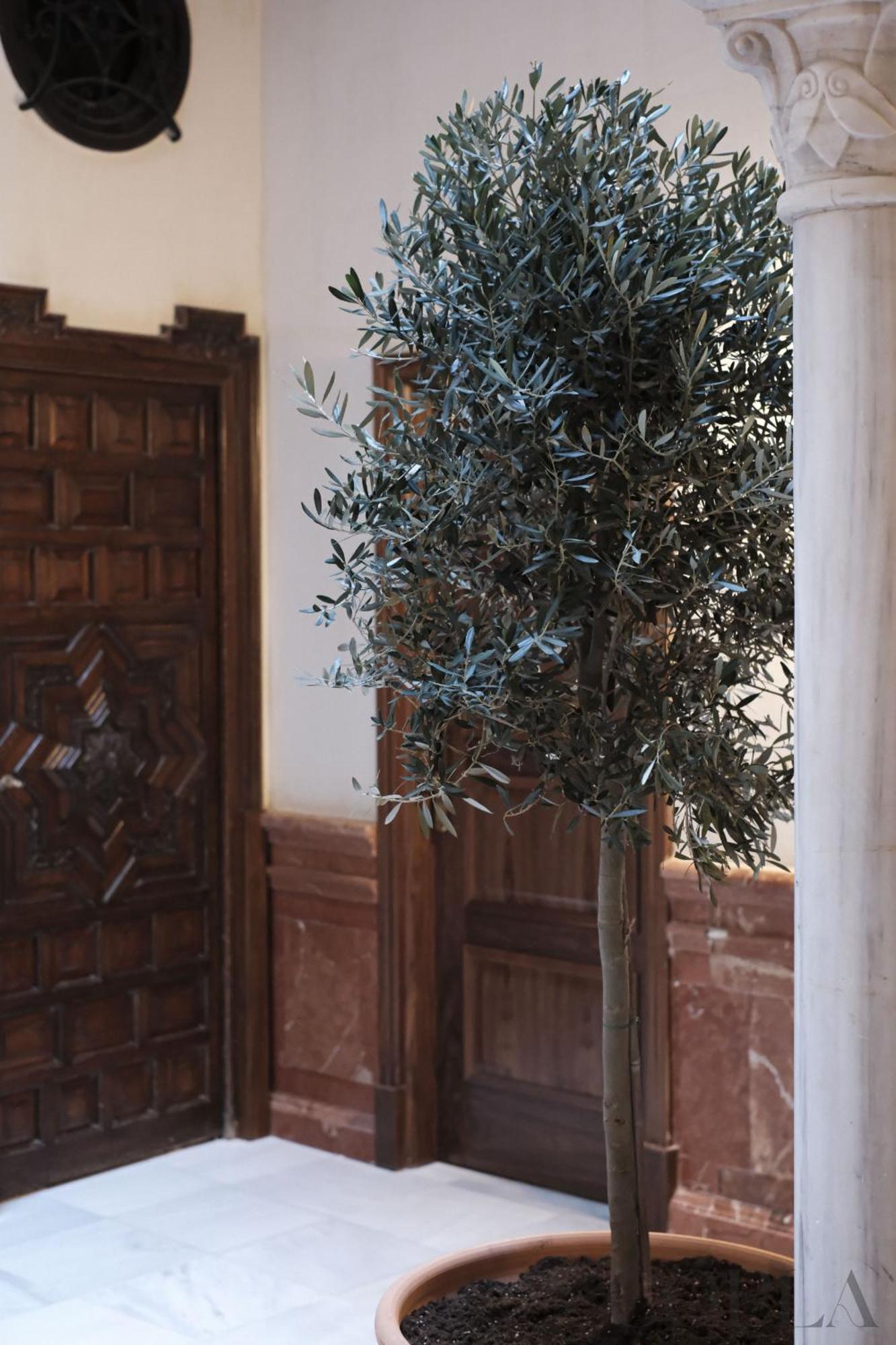 Fabulous Apartamento Para 4pax En El Centro De Seville